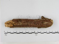 登錄號:F0000272藏品圖，第1張