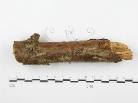 登錄號:F0000272藏品圖，第4張