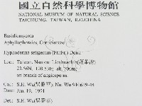 剛毛絲皮菌藏品圖，第2張