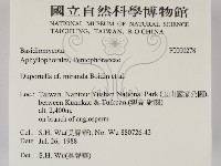 登錄號:F0000278藏品圖，第2張