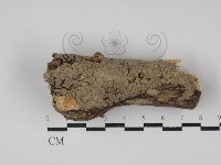 登錄號:F0000278藏品圖，第1張