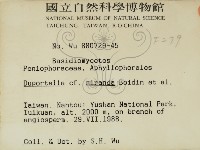 登錄號:F0000279藏品圖，第2張