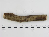 登錄號:F0000279藏品圖，第3張