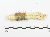 登錄號:F0000280藏品圖，第1張