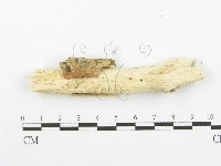 登錄號:F0000280藏品圖，第3張