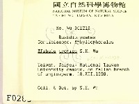 登錄號:F0000285藏品圖，第2張