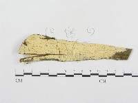 登錄號:F0000286藏品圖，第1張