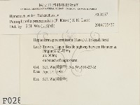 登錄號:F0000287藏品圖，第2張