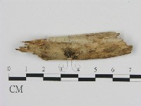 登錄號:F0000287藏品圖，第1張