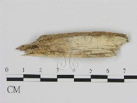 登錄號:F0000287藏品圖，第3張