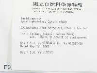 登錄號:F0000288藏品圖，第2張