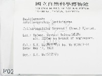 登錄號:F0000289藏品圖，第2張