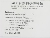 登錄號:F0000291藏品圖，第2張