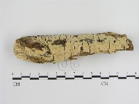 登錄號:F0000291藏品圖，第1張