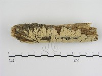登錄號:F0000291藏品圖，第3張
