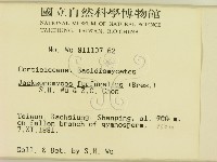 登錄號:F0000295藏品圖，第2張