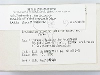 登錄號:F0000297藏品圖，第2張