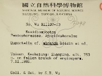 登錄號:F0000298藏品圖，第2張