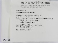 登錄號:F0000301藏品圖，第2張