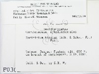 登錄號:F0000302藏品圖，第2張
