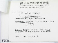 登錄號:F0000302藏品圖，第3張