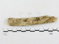 登錄號:F0000302藏品圖，第4張