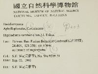 冇骨消絲齒菌藏品圖，第2張