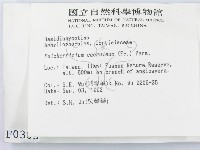 登錄號:F0000305藏品圖，第2張