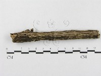 登錄號:F0000305藏品圖，第4張