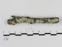 登錄號:F0000306藏品圖，第1張