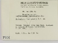 登錄號:F0000307藏品圖，第2張