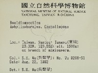 登錄號:F0000308藏品圖，第2張