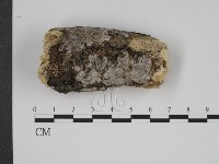 登錄號:F0000308藏品圖，第1張
