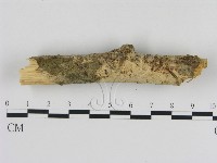 登錄號:F0000309藏品圖，第1張