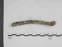 登錄號:F0000310藏品圖，第1張