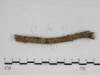 登錄號:F0000310藏品圖，第3張