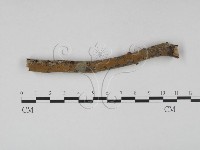 登錄號:F0000310藏品圖，第4張
