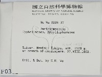 登錄號:F0000311藏品圖，第2張