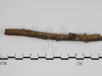 登錄號:F0000311藏品圖，第3張