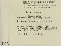 登錄號:F0000313藏品圖，第2張