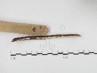 登錄號:F0000314藏品圖，第3張