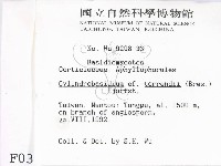 登錄號:F0000316藏品圖，第2張
