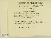 登錄號:F0000320藏品圖，第2張
