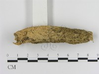 登錄號:F0000320藏品圖，第1張