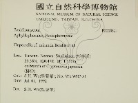 登錄號:F0000321藏品圖，第2張