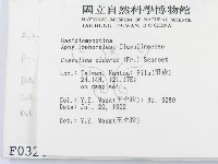 登錄號:F0000324藏品圖，第2張