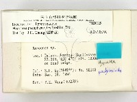 登錄號:F0000325藏品圖，第2張