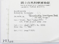 登錄號:F0000328藏品圖，第2張