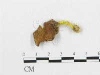 登錄號:F0000328藏品圖，第1張
