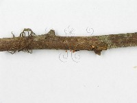 登錄號:F0000330藏品圖，第4張